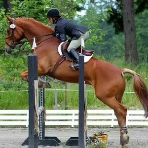 Meet your Posher, Joyce